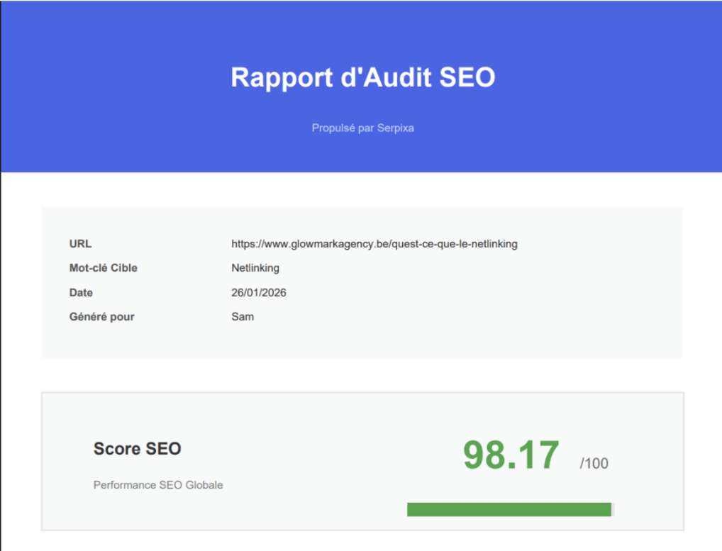 Serpixa SEO audit report showing score and key issues